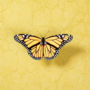 孟子义被躁到高潮
